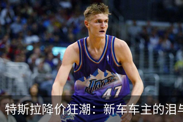 特斯拉降价狂潮：新车车主的泪与笑